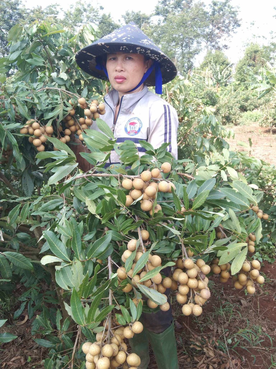 Ban An toàn giao thông huyện Krông Ana thăm, và hỗ trợ gia đình nạn nhân tử vong do tai nạn giao thông